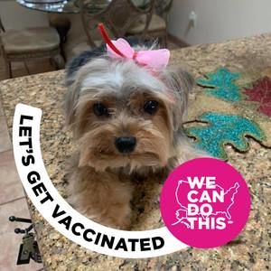 Meet your Posher, Haydee